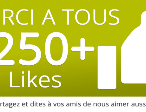 250+ Likes Facebook