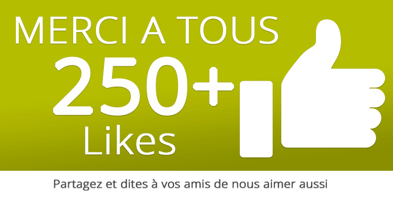 250 likes sur facebook